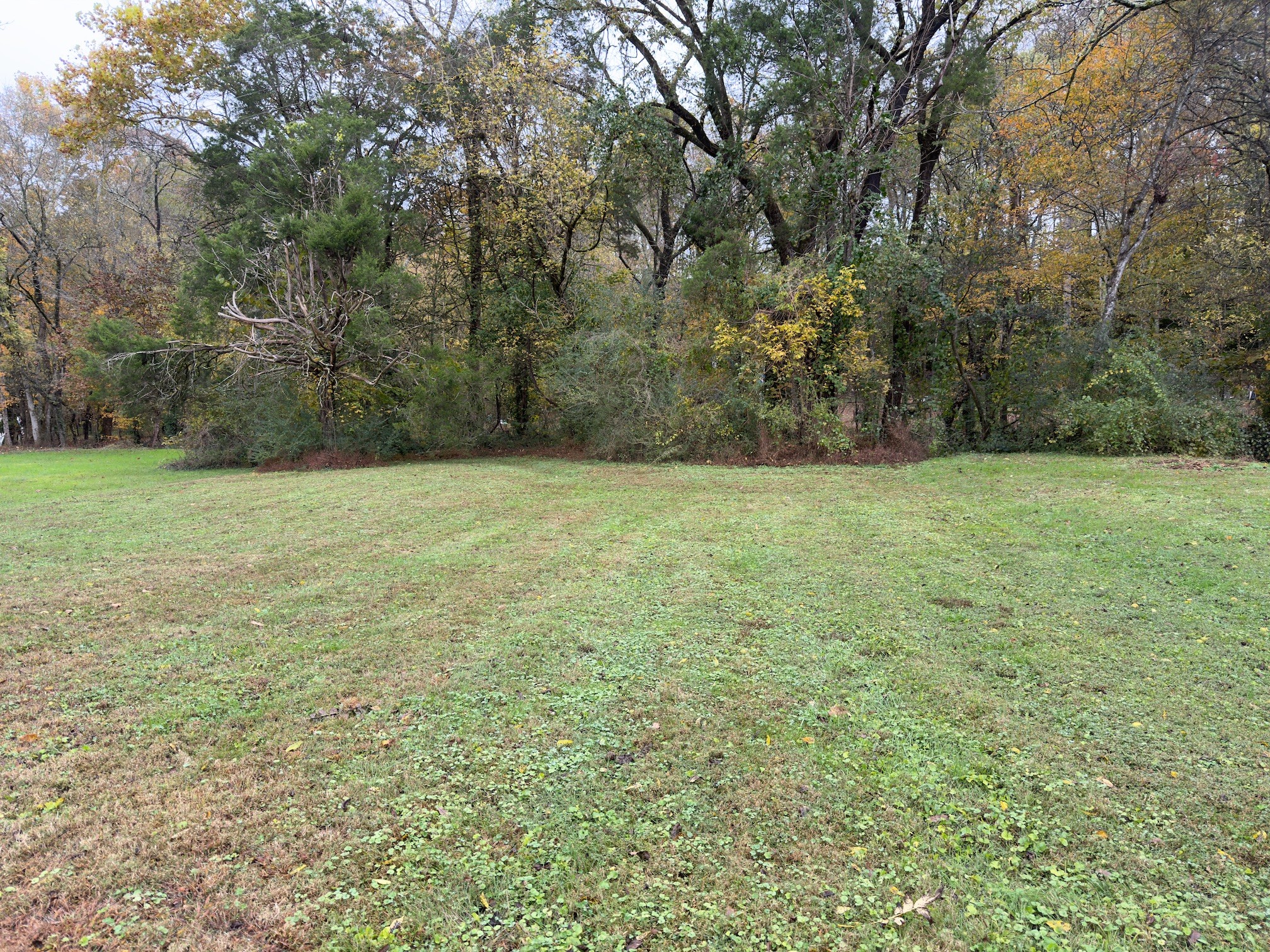 2594 Faulkner Springs Road McMinnville, TN 37110 - Photo 8 of 17 a view of an outdoor space and a yard