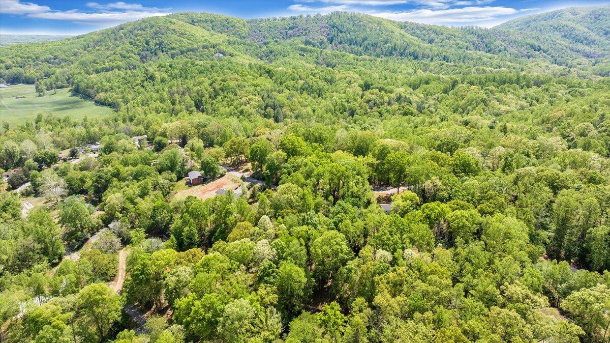 159 Lakeshore Terrace Road Hardy, VA 24101 - Photo 74 of 90 Aerial