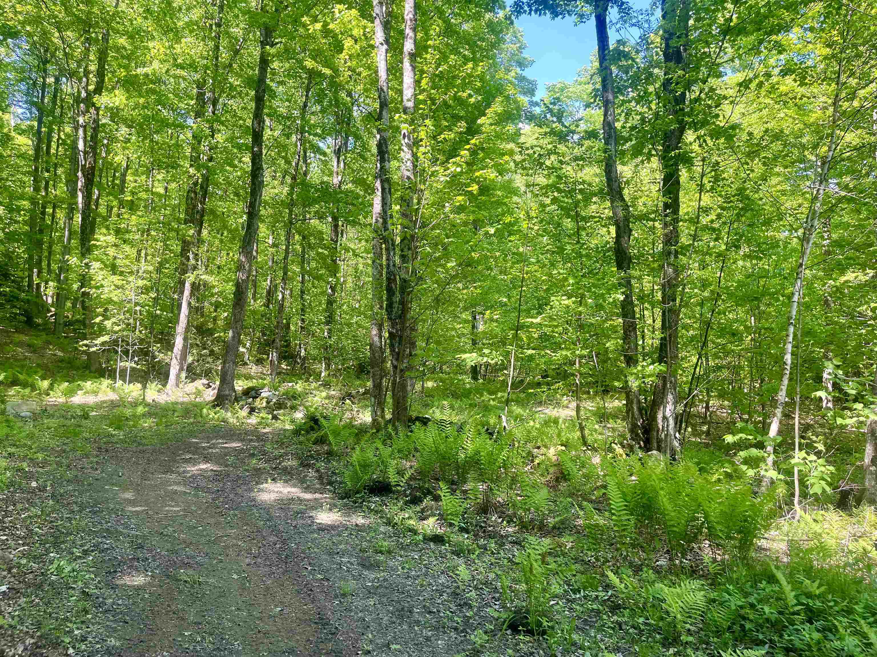 220 Middle Road Chittenden, VT 05763 - Photo 1 of 28 Gallery Image 1