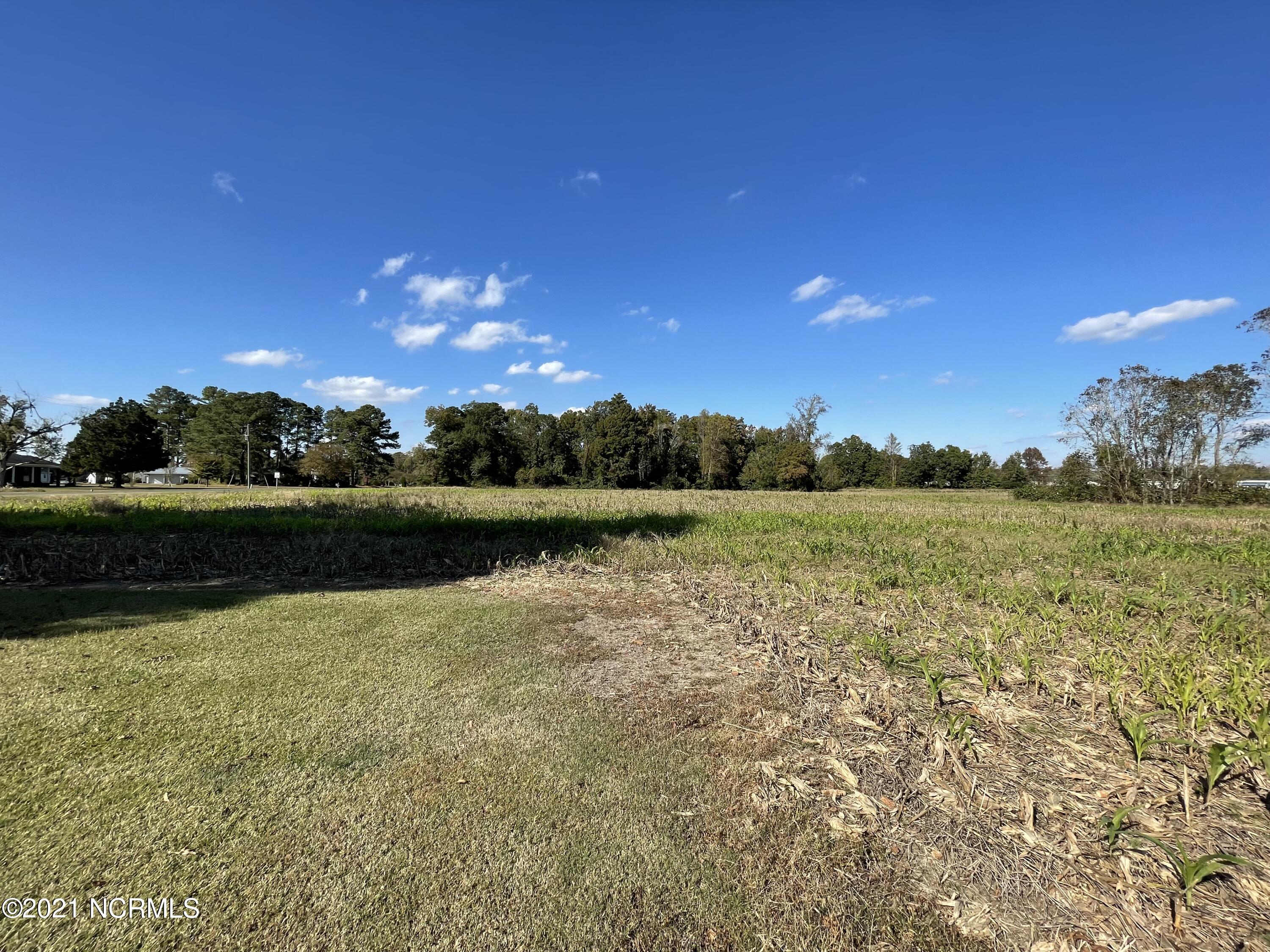 161 Black Road Washington, NC 27889 - Photo 5 of 7 IMG_1044