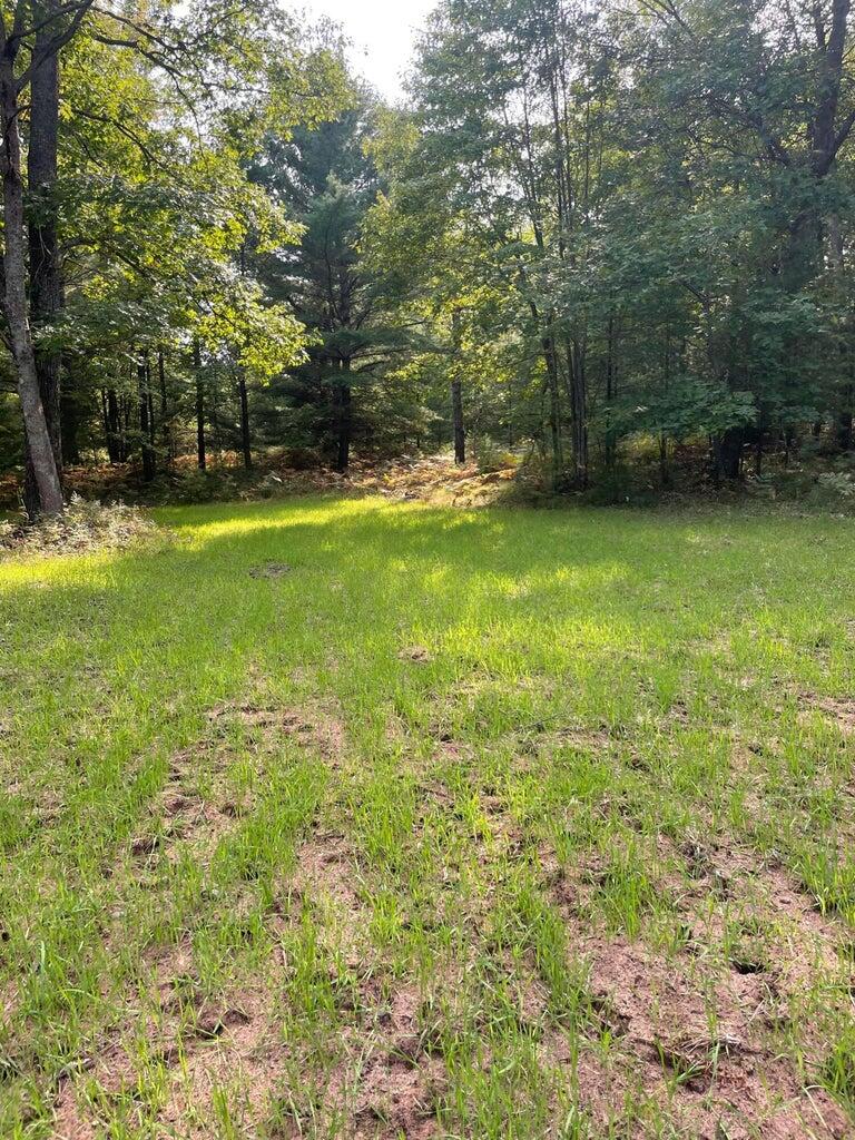 8 East Mile Road Luther, MI 49656 - Photo 2 of 3 20230424170447938048000000-o