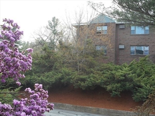 24 Spencer Road, Unit 36N Boxborough, MA 01719 - Photo 12 of 12 a front view of a house with a yard