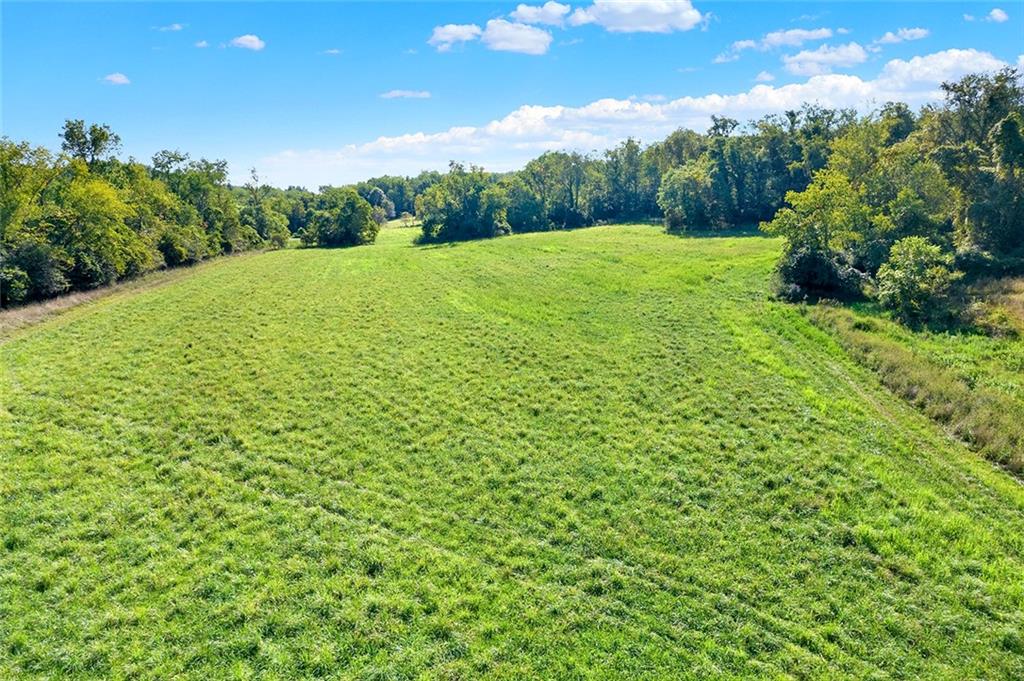 0 Bethelboro Road Uniontown, PA 15401 - Photo 8 of 12 a view of a green field with lots of bushes