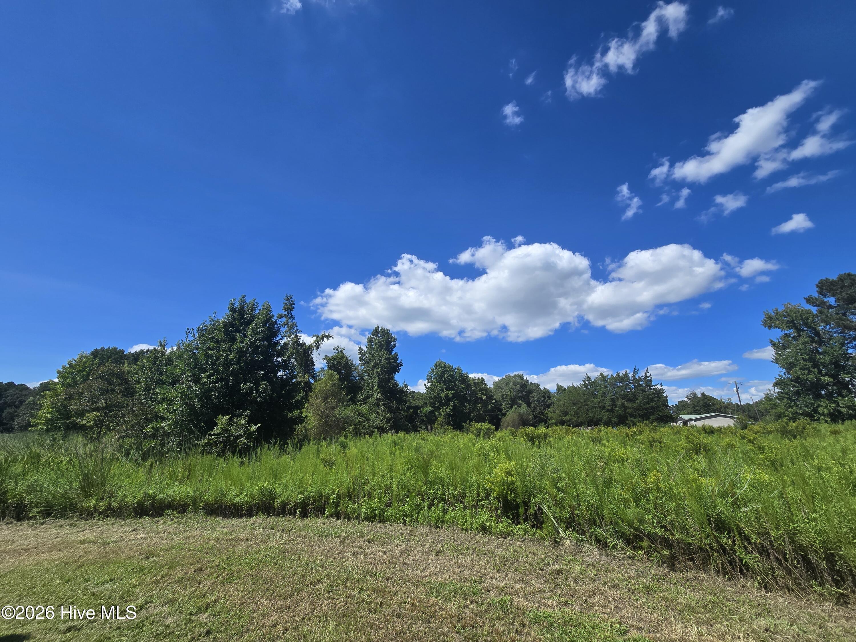 3223 Chandler Road Vanceboro, NC 28586 - Photo 13 of 27 Rear of property view
