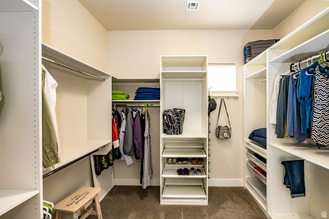 1283 North Gallen Road Santa Clara, UT 84765 - Photo 33 of 103 Primary bedroom Walk in closet featuring dark carpet