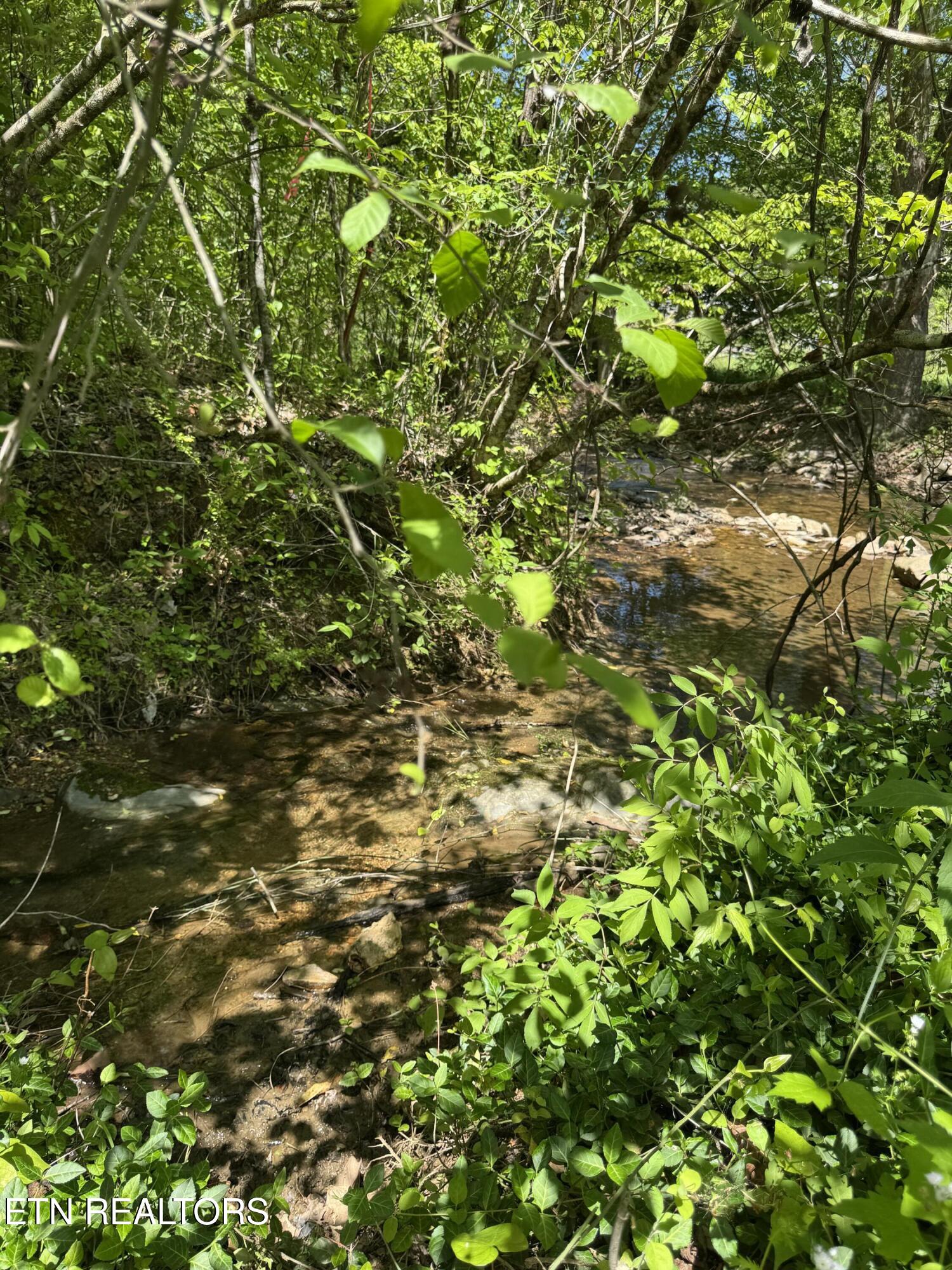 915 Chestnut Valley Road Vonore, TN 37885 - Photo 25 of 31 IMG_6198