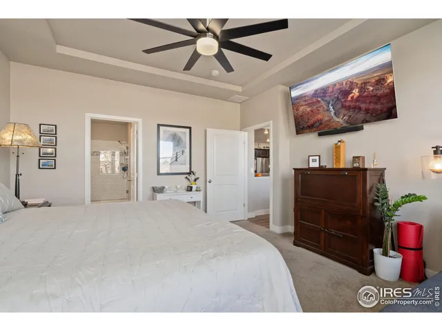 $785,000 | 6768 Castello Street, Timnath, CO 80547