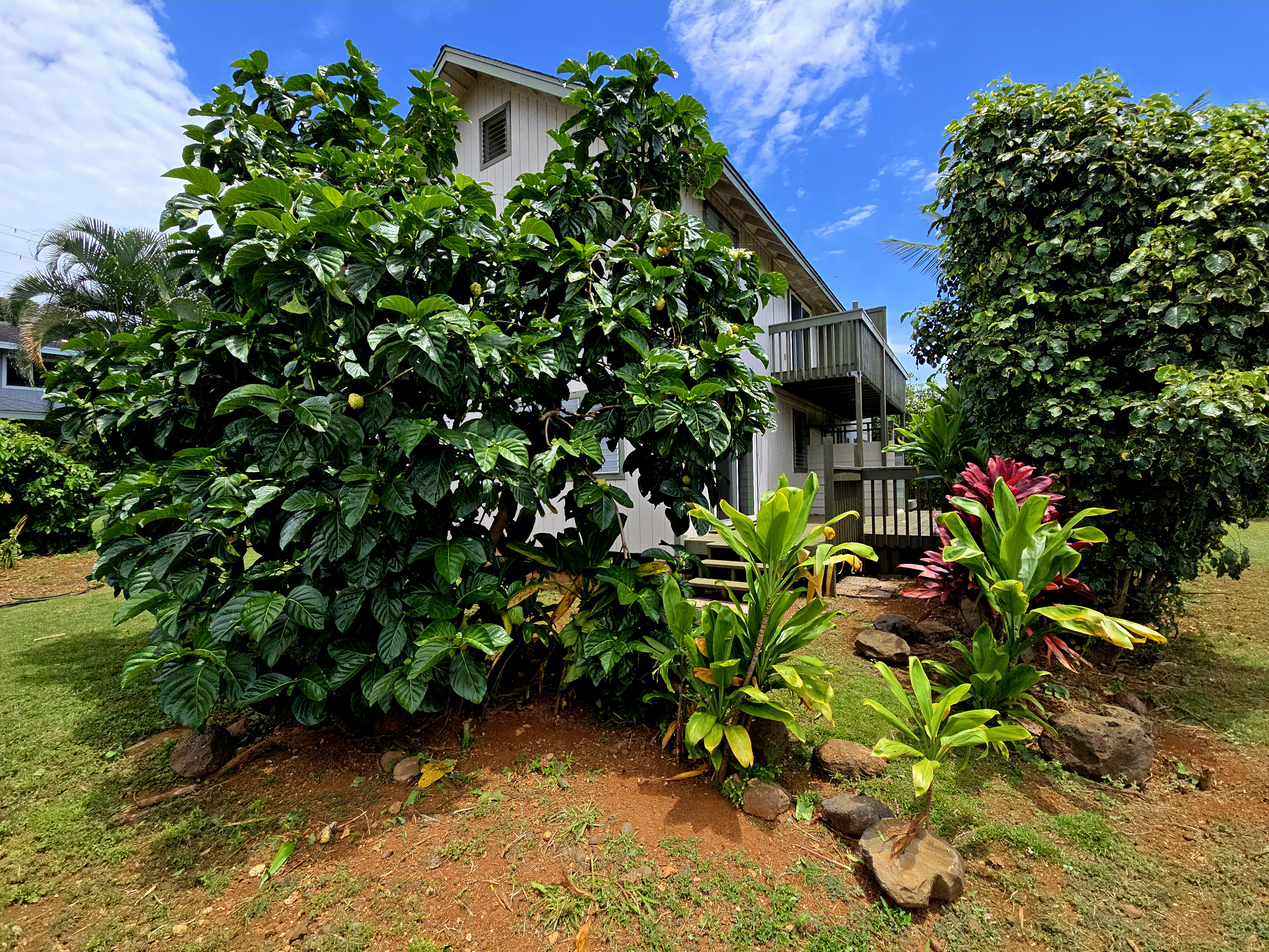 4601 Hauaala Road Kapaa, HI 96746 - Photo 29 of 30