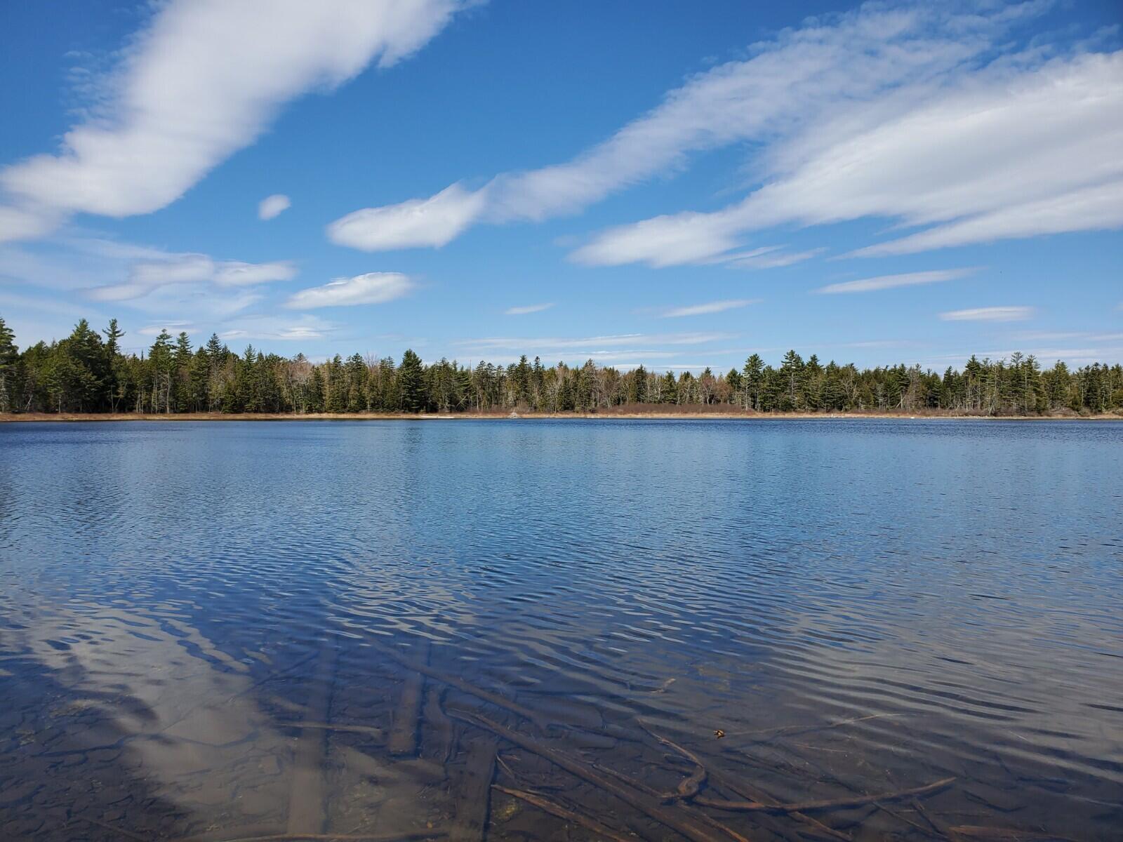 1.3-ac Off Barrows Lake Road Alexander, ME 04694 - Photo 7 of 10 20210428_112537
