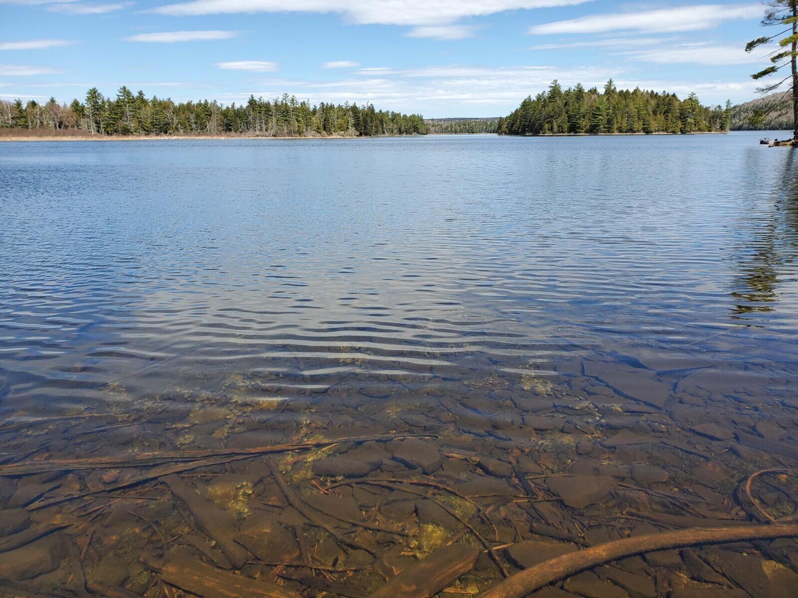 1.3-ac Off Barrows Lake Road Alexander, ME 04694 - Photo 8 of 10 20210428_112556
