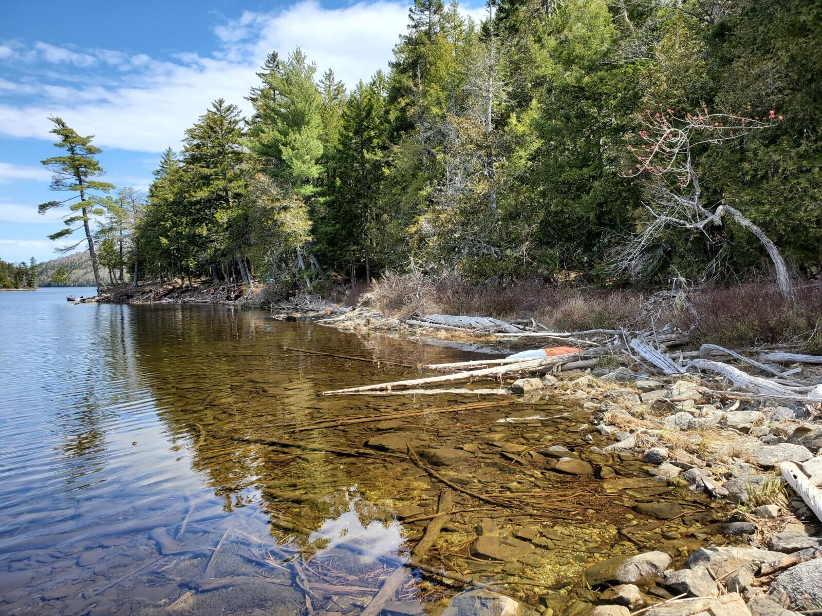 1.3-ac Off Barrows Lake Road Alexander, ME 04694 - Photo 9 of 10 20210428_112600