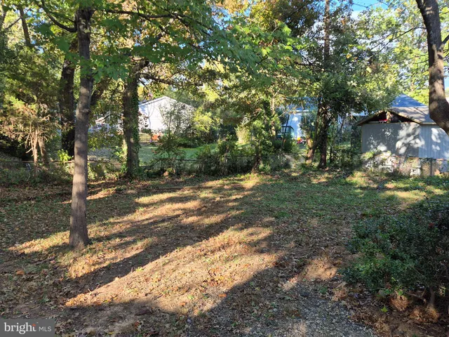 a view of a yard with plants and trees