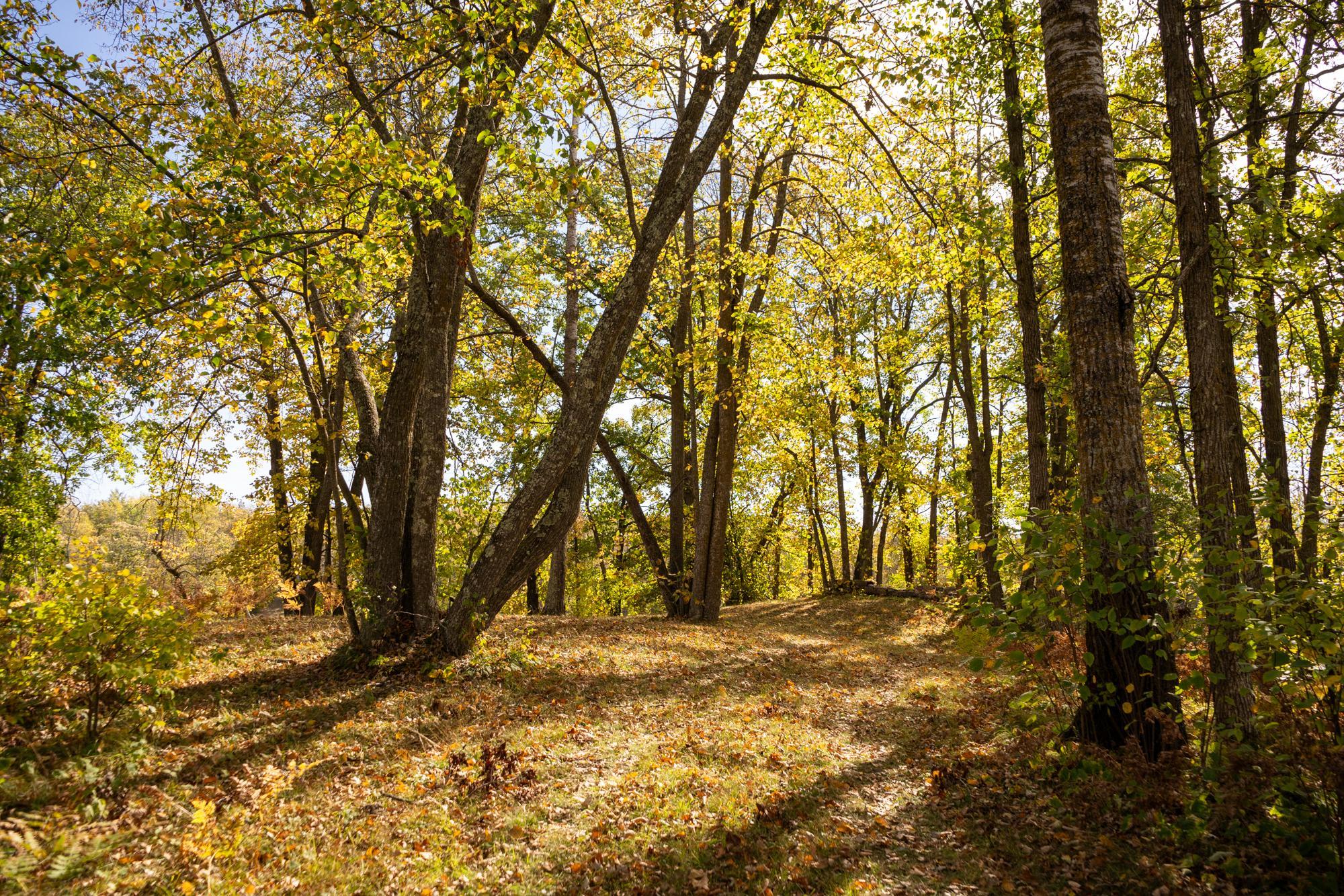 Tract B Brietbach Road Park Rapids, MN 56470 - Photo 15 of 26