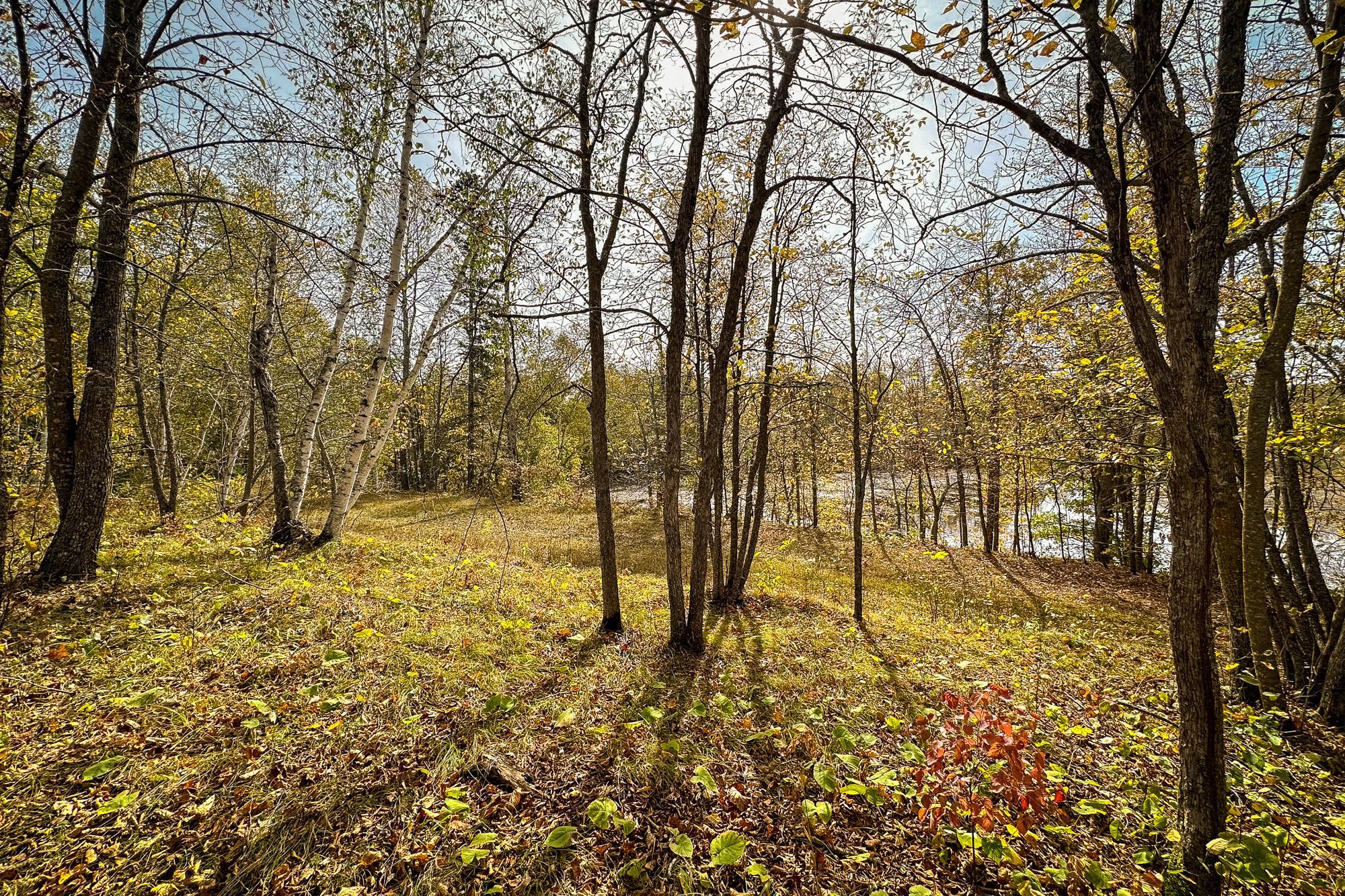 Tract B Brietbach Road Park Rapids, MN 56470 - Photo 24 of 26