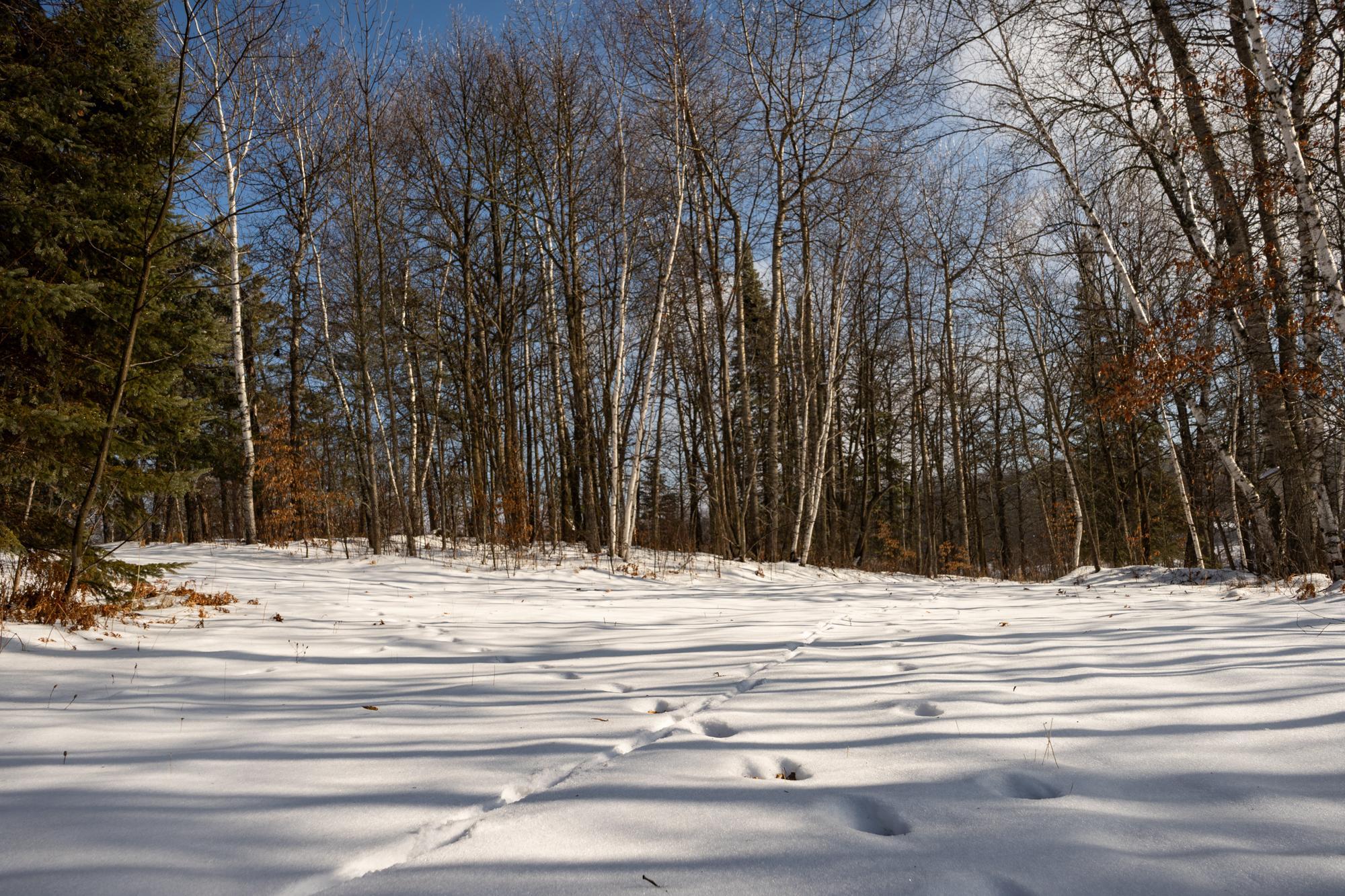 Tract B Brietbach Road Park Rapids, MN 56470 - Photo 25 of 26