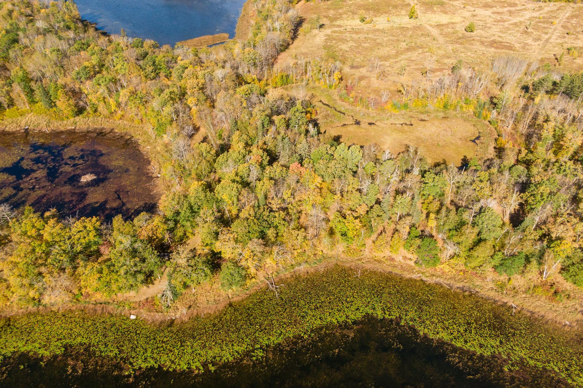 Tract B Brietbach Road Park Rapids, MN 56470 - Photo 7 of 26
