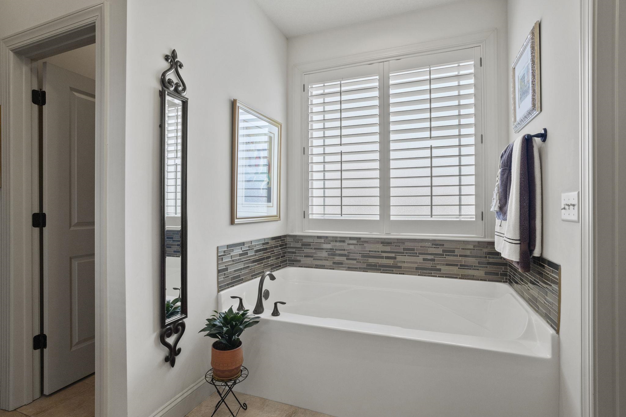 554 Ashler Drive Greer, SC 29650 - Photo 19 of 34
