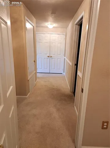 a view of a livingroom with furniture window and wooden floor