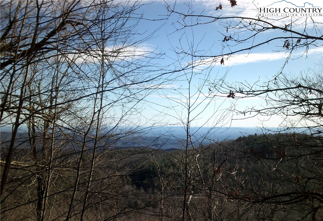 7668 Turtle Rock Road Newland, NC 28657 - Photo 2 of 6 Gallery Image 2