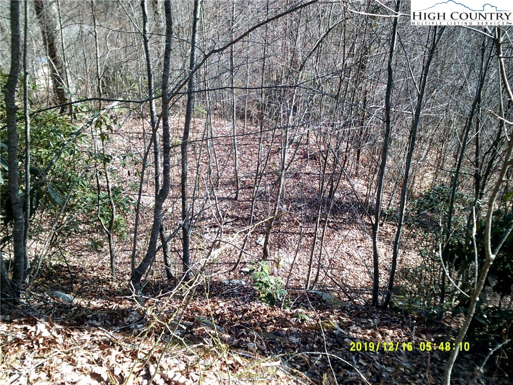 7668 Turtle Rock Road Newland, NC 28657 - Photo 6 of 6 Gallery Image 6
