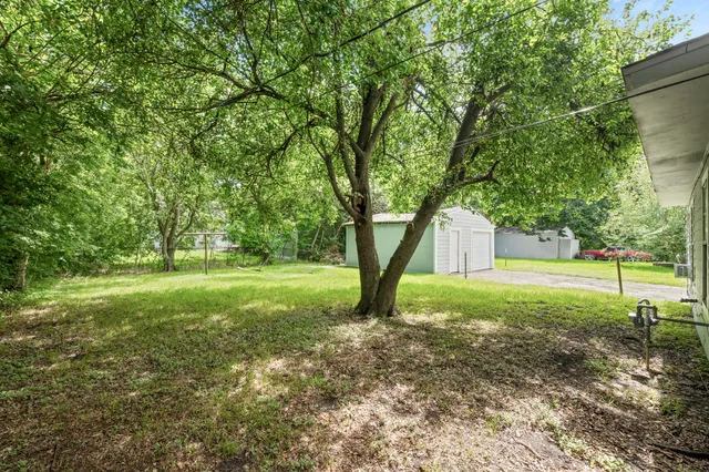 a view of a yard with a tree
