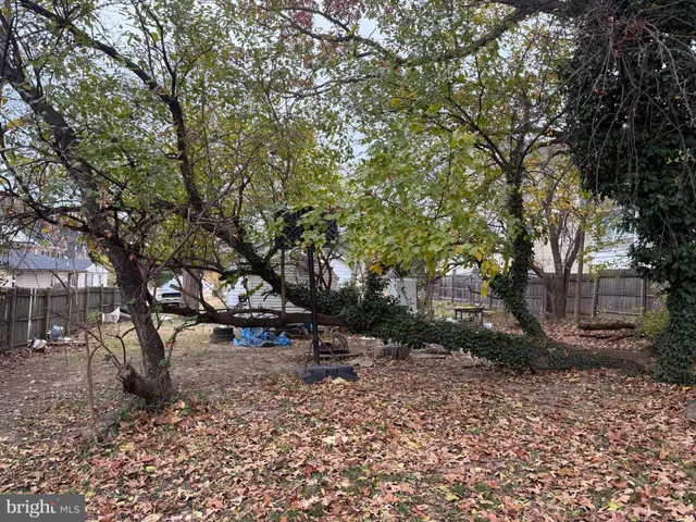 a view of outdoor space with lots of trees