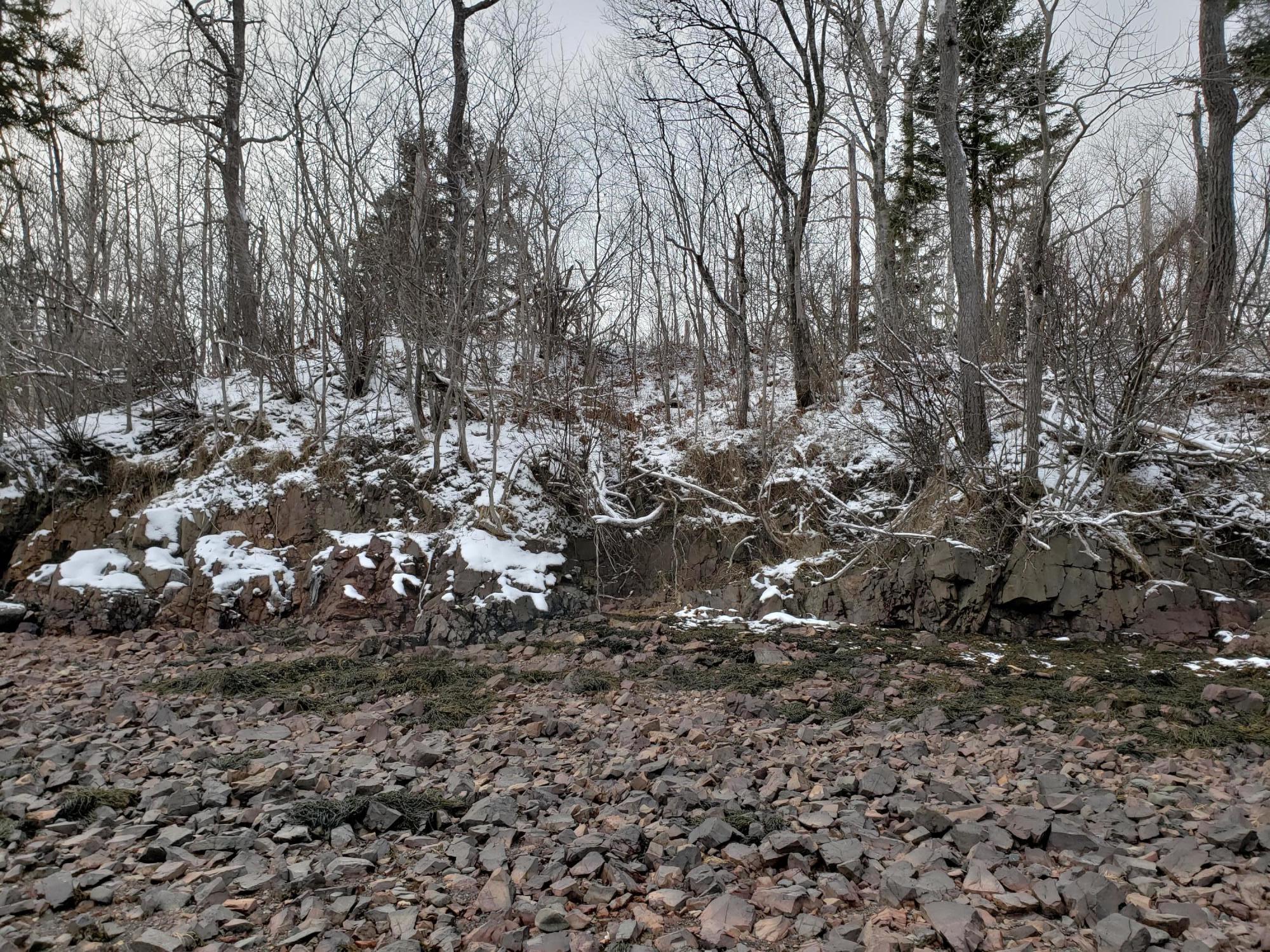 Xx Birch Point Road Perry, ME 04667 - Photo 7 of 10 20210107_124734