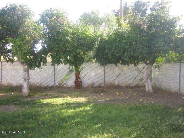 137 East Carter Road Phoenix, AZ 85042 - Photo 2 of 25 Back