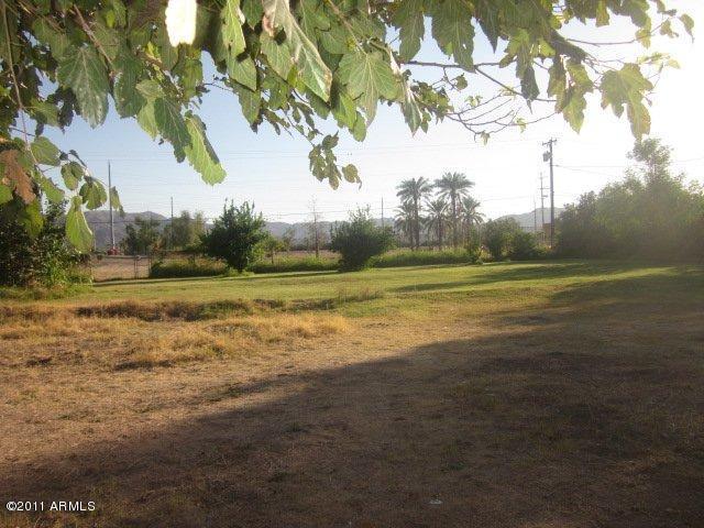 137 East Carter Road Phoenix, AZ 85042 - Photo 3 of 25 Back 2