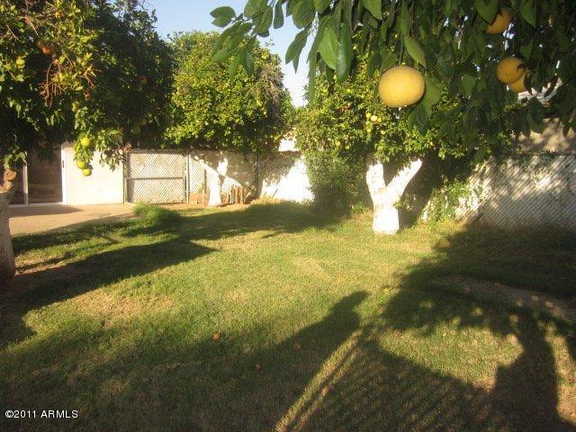 137 East Carter Road Phoenix, AZ 85042 - Photo 4 of 25 Back 3