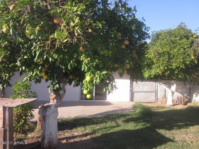137 East Carter Road Phoenix, AZ 85042 - Photo 5 of 25 Pool