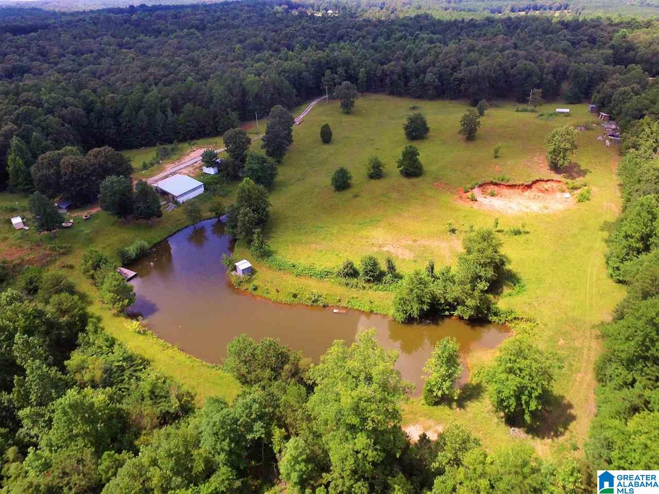 950 County Road 478, Unit 1 Clanton, AL 35046 - Photo 1 of 31