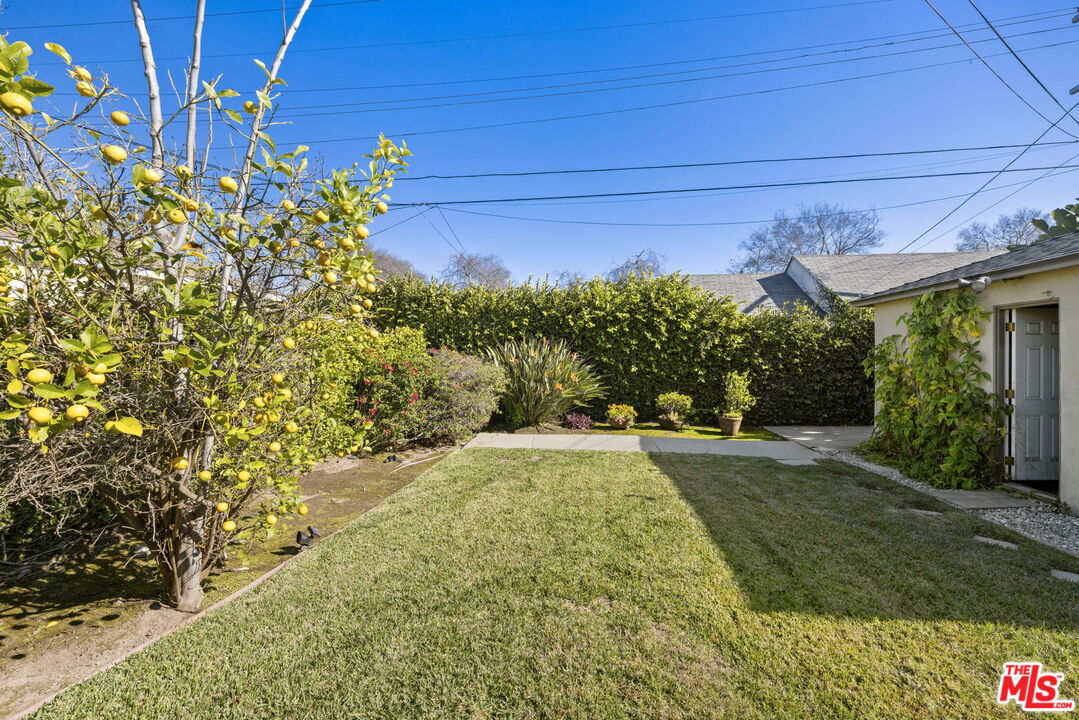 3770 Buckingham Road Los Angeles, CA 90016 - Photo 17 of 19 a view of a backyard of the house