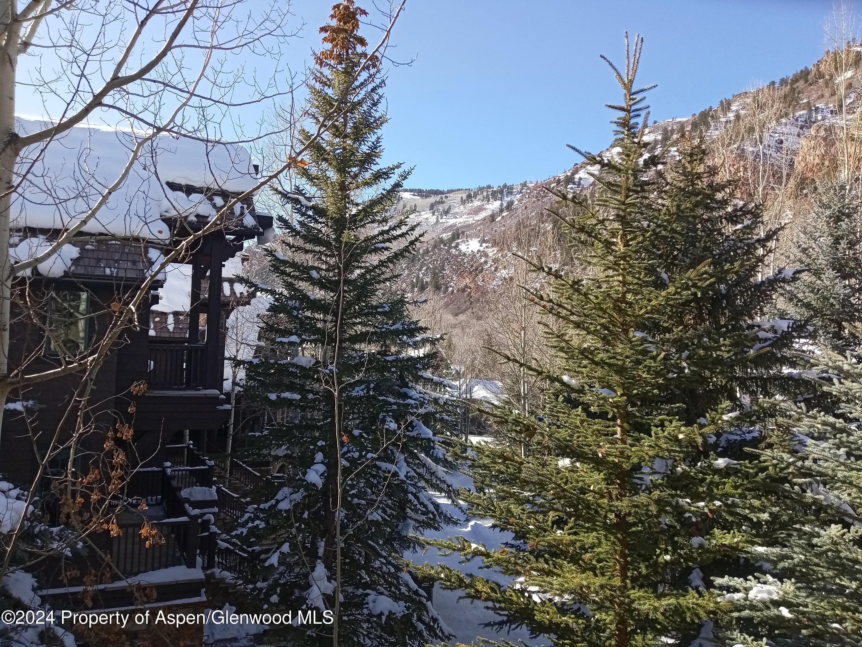 75 Prospector Road, Unit 8206 SUMMER INTEREST 7 Aspen, CO 81611 - Photo 19 of 21 a picture of tree