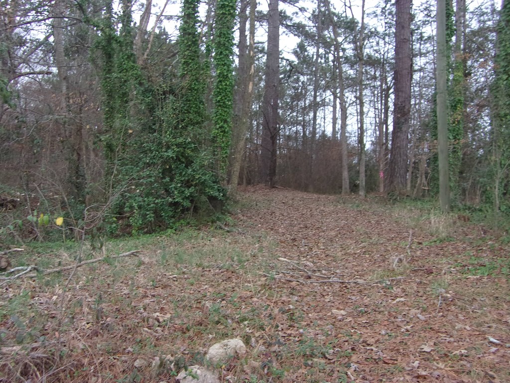 120-124 Bluff Road Greenwood, SC 29649 - Photo 4 of 10