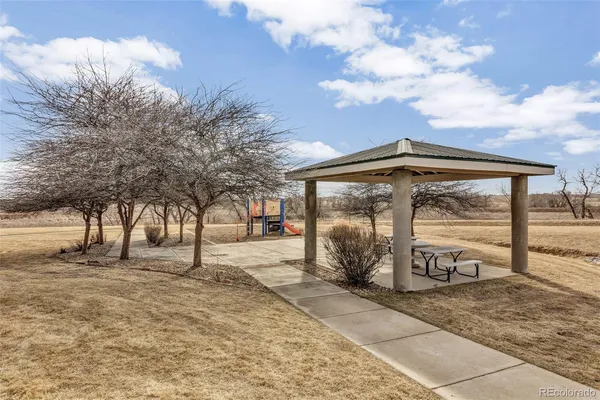 a view of a backyard with large trees