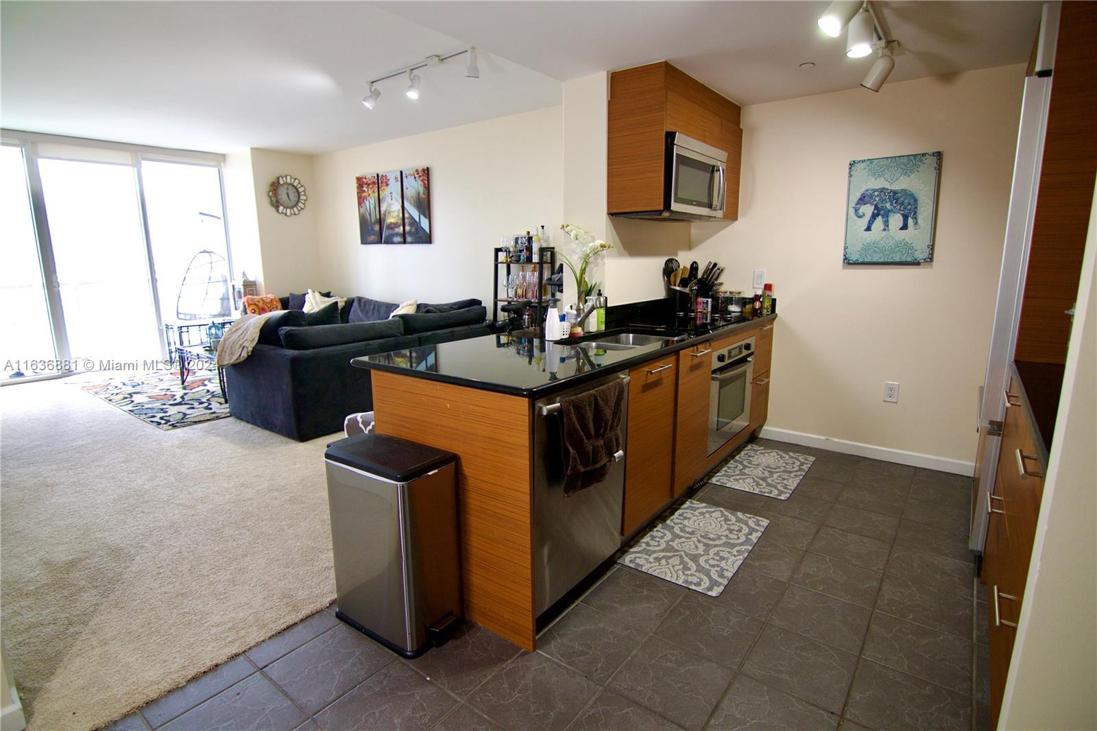 50 Biscayne Blvd Unit 1505