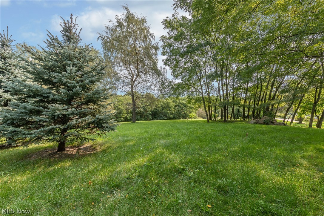 330 Wilson Mills Road Chardon, OH 44024 - Photo 5 of 17