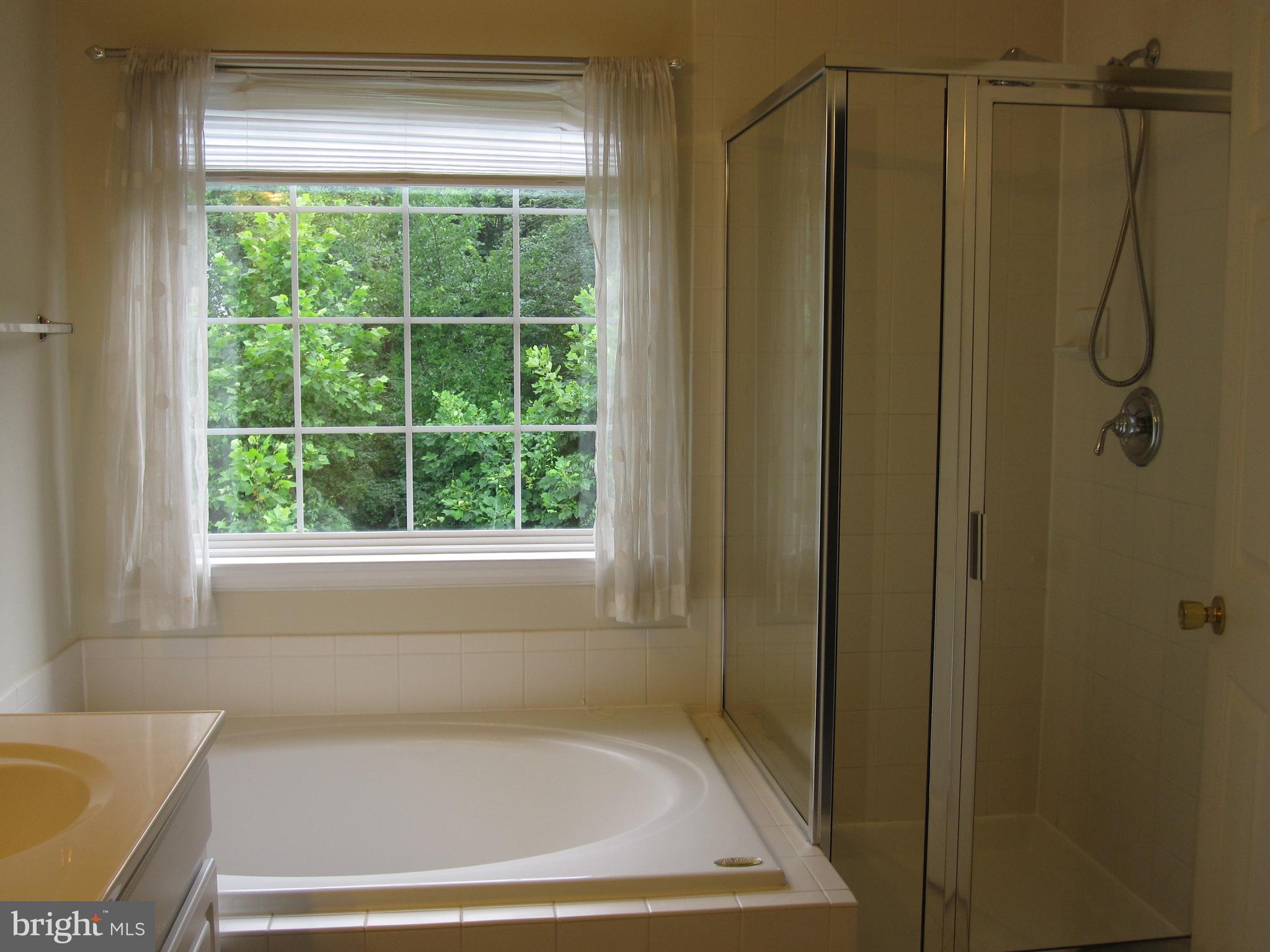 4140 River Forth Drive Fairfax, VA 22030 - Photo 19 of 32