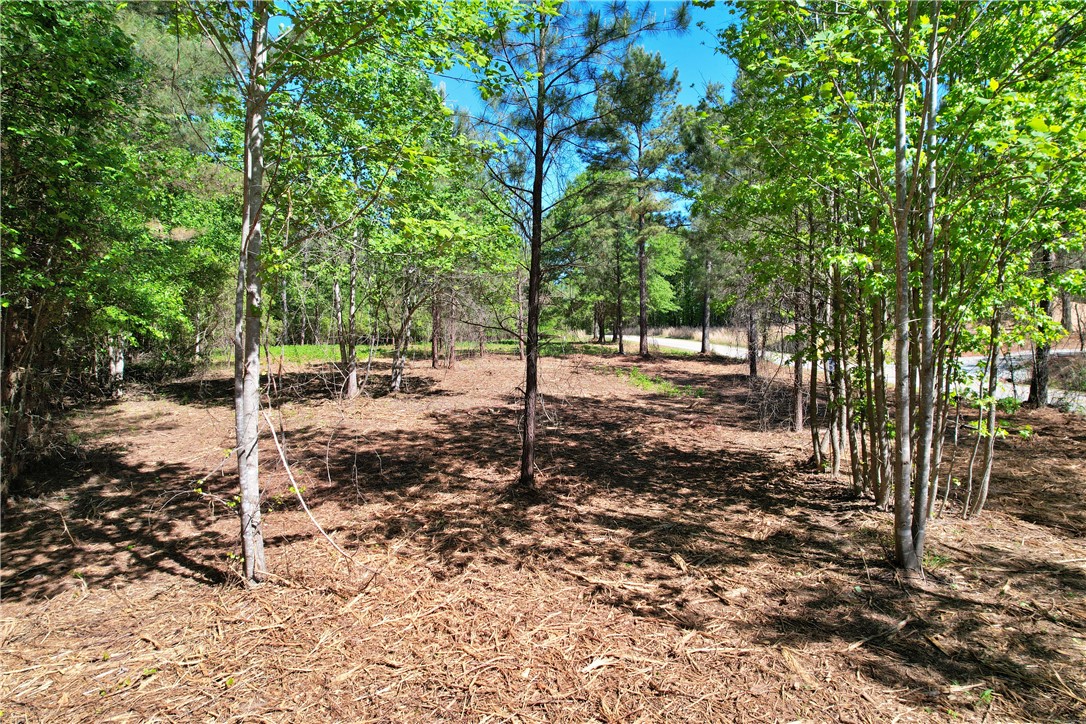 Lot 134 Mcalister Rd Union West Union, SC 29696 - Photo 23 of 43 Mature trees and lush greenery define this peaceful, private lot, perfect for building your dream home.