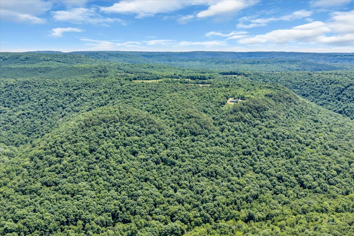 5688 Burkett Chapel Road Gruetli Laager, TN 37339 - Photo 58 of 73