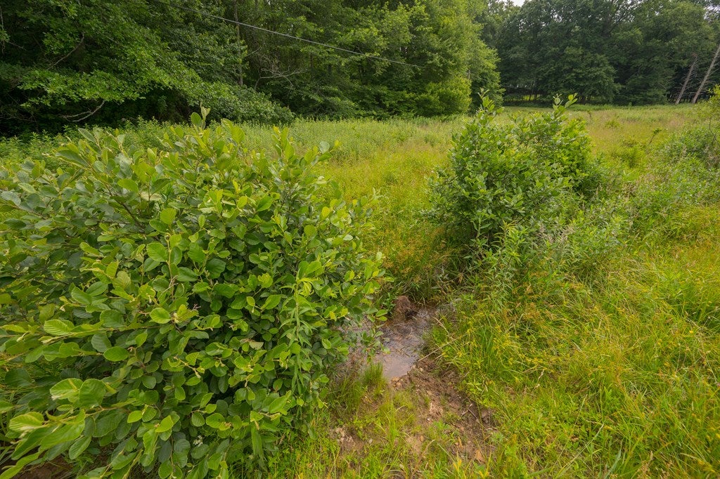 Tbd Keno Road Laurel Fork, VA 24352 - Photo 48 of 72 Gallery Image 48