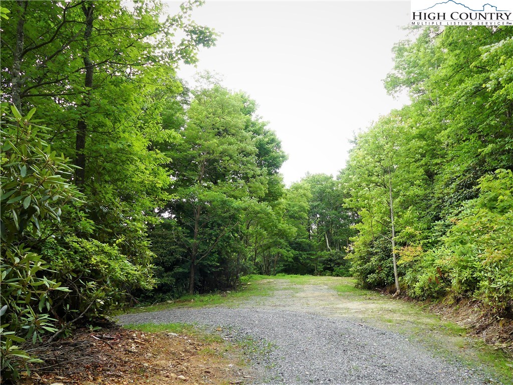 101 Whispering Hills Road Boone, NC 28607 - Photo 8 of 13 Gallery Image 8