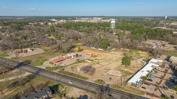 a view of yard with large trees