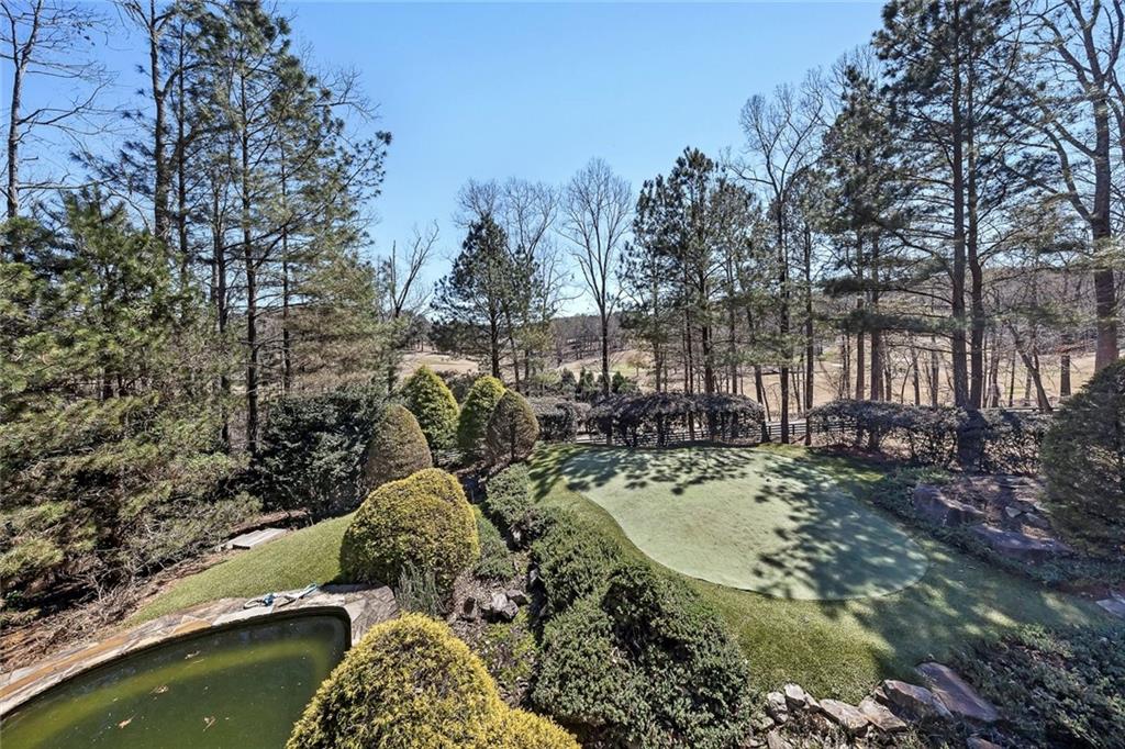 943 Newt Green Road Ball Ground, GA 30107 - Photo 2 of 93