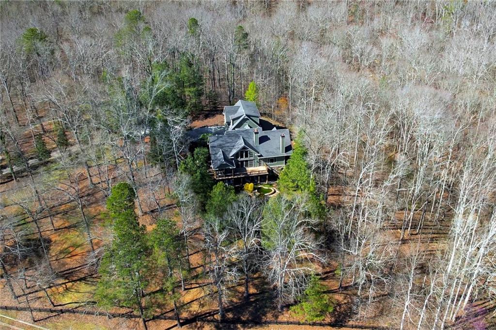 943 Newt Green Road Ball Ground, GA 30107 - Photo 79 of 93