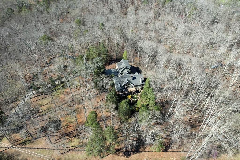 943 Newt Green Road Ball Ground, GA 30107 - Photo 80 of 93