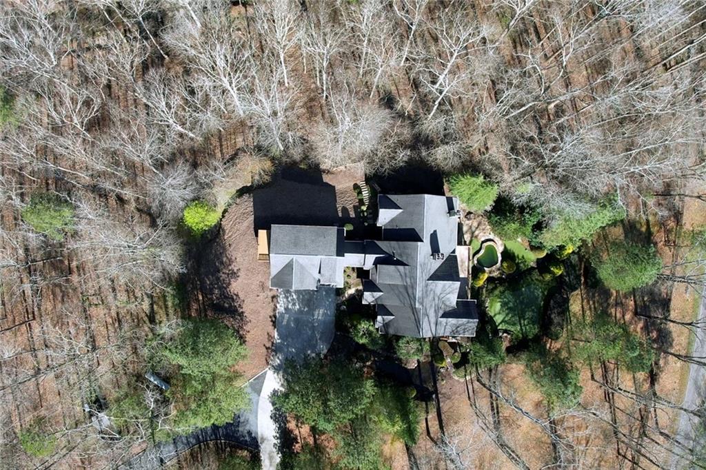 943 Newt Green Road Ball Ground, GA 30107 - Photo 81 of 93