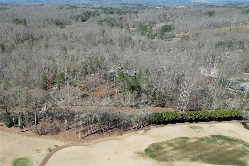 943 Newt Green Road Ball Ground, GA 30107 - Photo 82 of 93