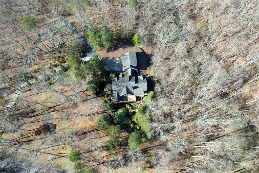 943 Newt Green Road Ball Ground, GA 30107 - Photo 83 of 93